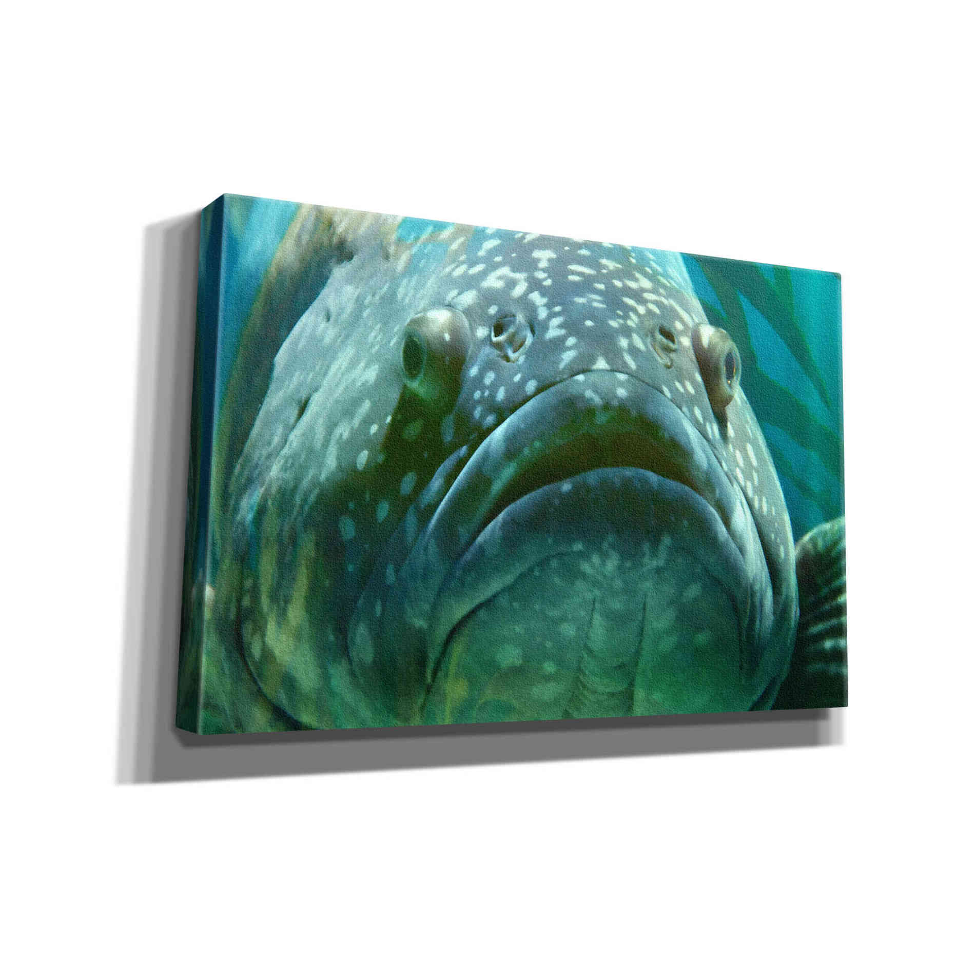 'Turquoisesplash Two' by Steve Hunziker Giclee Canvas Wall Art