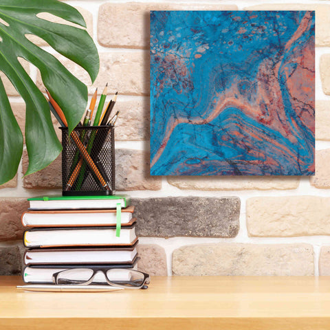Image of 'Craquelure One' by Steve Hunziker Giclee Canvas Wall Art,12 x 12