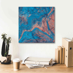 'Craquelure One' by Steve Hunziker Giclee Canvas Wall Art,18 x 18