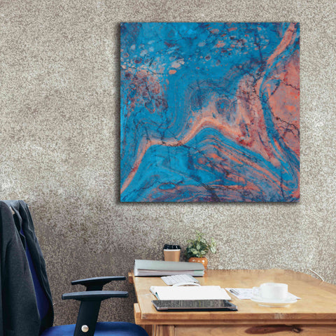 Image of 'Craquelure One' by Steve Hunziker Giclee Canvas Wall Art,37 x 37