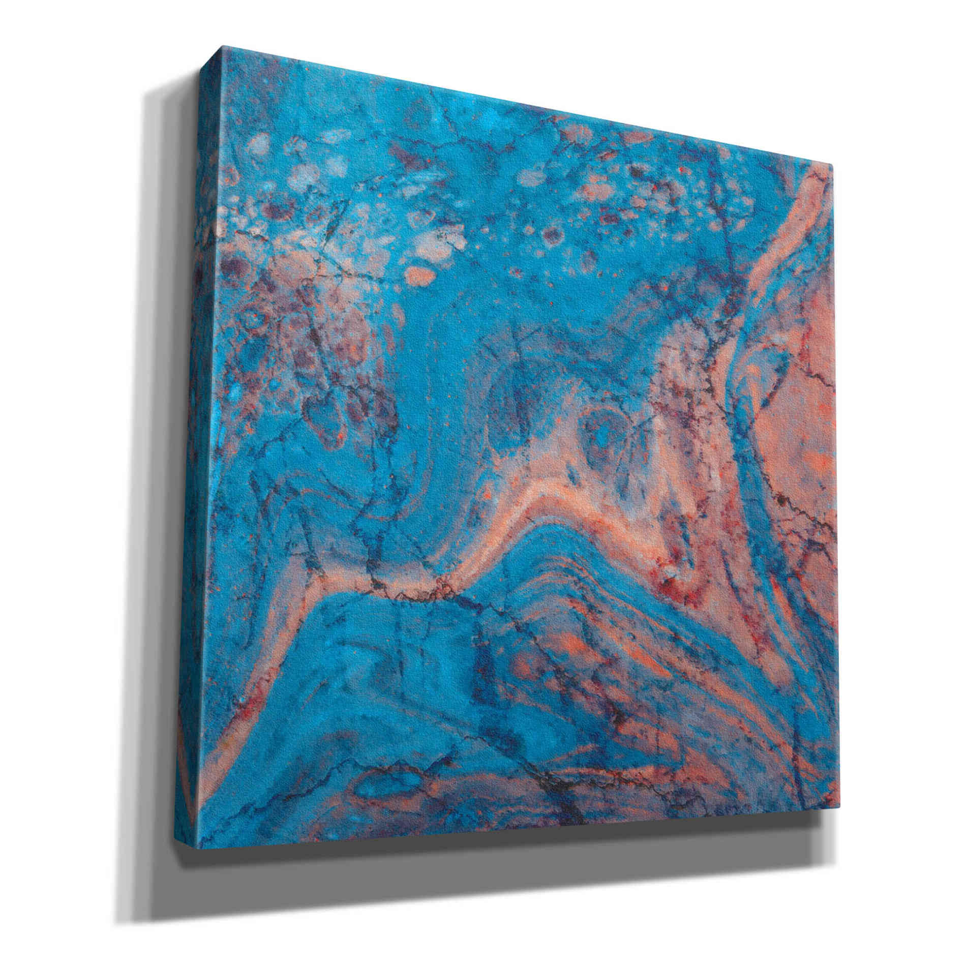 'Craquelure One' by Steve Hunziker Giclee Canvas Wall Art
