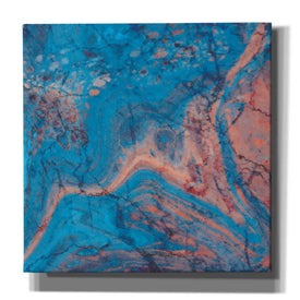'Craquelure One' by Steve Hunziker Giclee Canvas Wall Art