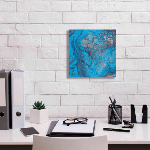 Image of 'Craquelure Two' by Steve Hunziker Giclee Canvas Wall Art,12 x 12