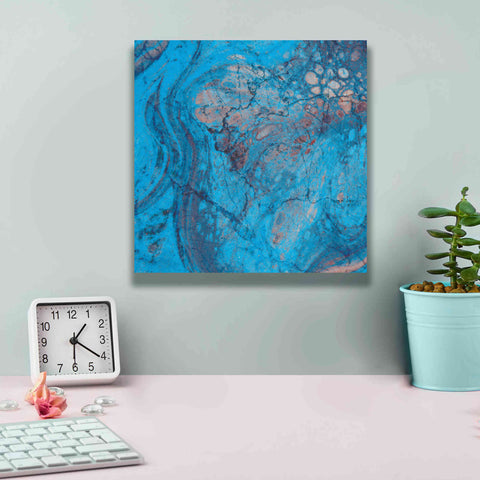 Image of 'Craquelure Two' by Steve Hunziker Giclee Canvas Wall Art,12 x 12