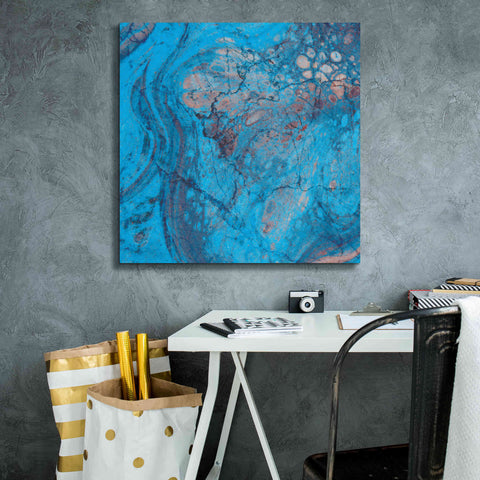 Image of 'Craquelure Two' by Steve Hunziker Giclee Canvas Wall Art,26 x 26