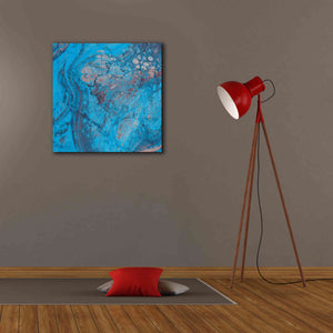 'Craquelure Two' by Steve Hunziker Giclee Canvas Wall Art,26 x 26