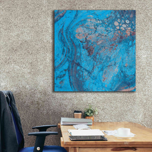 'Craquelure Two' by Steve Hunziker Giclee Canvas Wall Art,37 x 37
