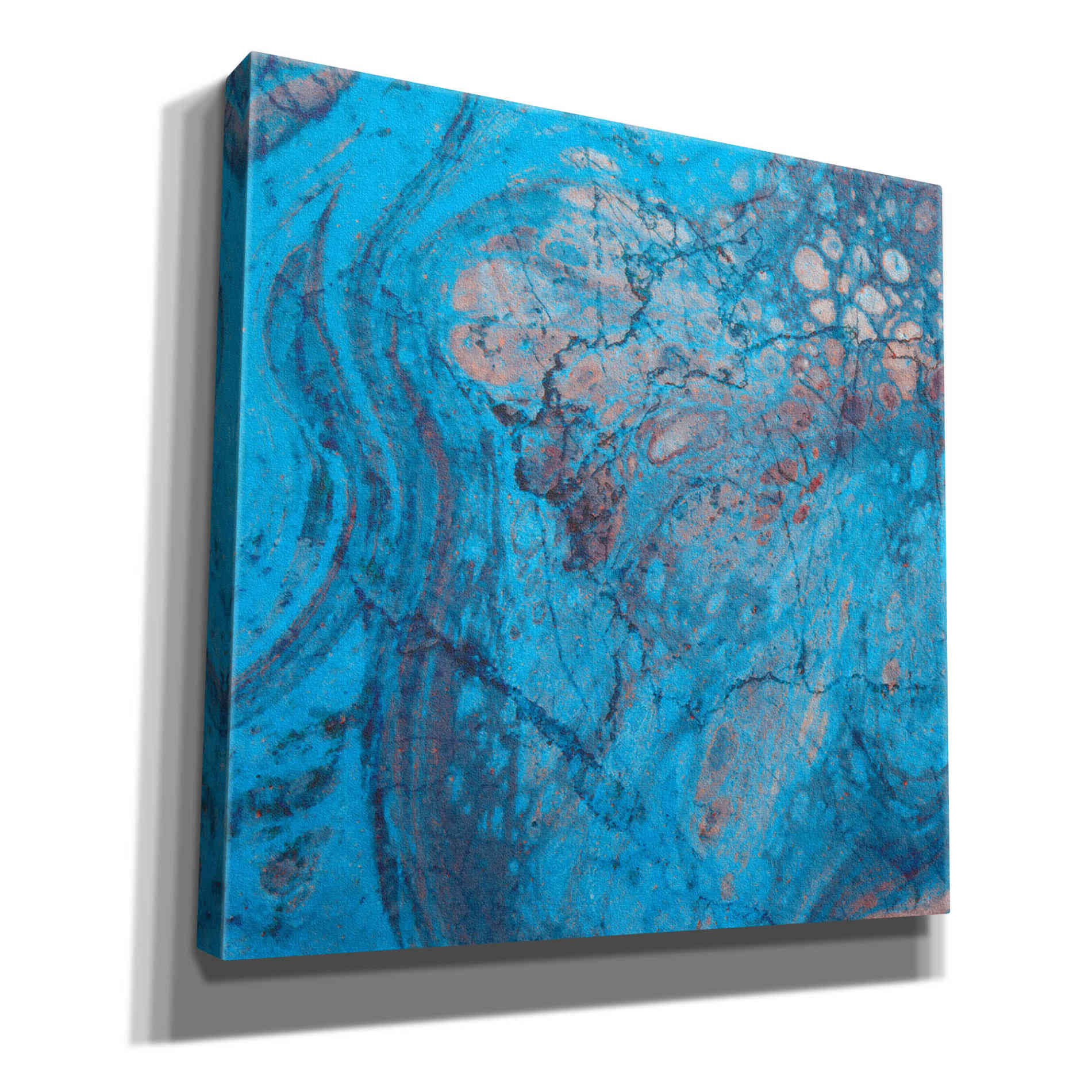 'Craquelure Two' by Steve Hunziker Giclee Canvas Wall Art