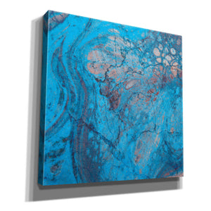 'Craquelure Two' by Steve Hunziker Giclee Canvas Wall Art