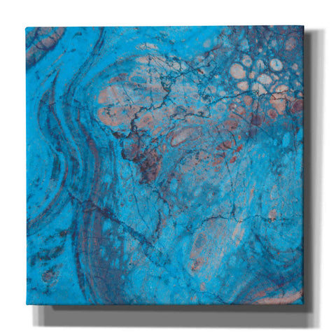 Image of 'Craquelure Two' by Steve Hunziker Giclee Canvas Wall Art