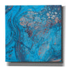 'Craquelure Two' by Steve Hunziker Giclee Canvas Wall Art