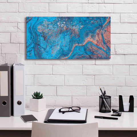 Image of 'Craquelure Three' by Steve Hunziker Giclee Canvas Wall Art,24 x 12