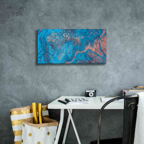 Image of 'Craquelure Three' by Steve Hunziker Giclee Canvas Wall Art,24 x 12