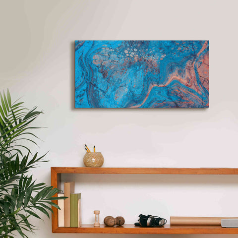 Image of 'Craquelure Three' by Steve Hunziker Giclee Canvas Wall Art,24 x 12