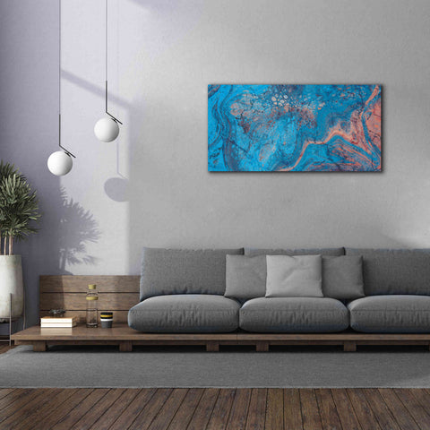 Image of 'Craquelure Three' by Steve Hunziker Giclee Canvas Wall Art,60 x 30