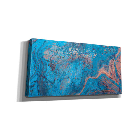 Image of 'Craquelure Three' by Steve Hunziker Giclee Canvas Wall Art