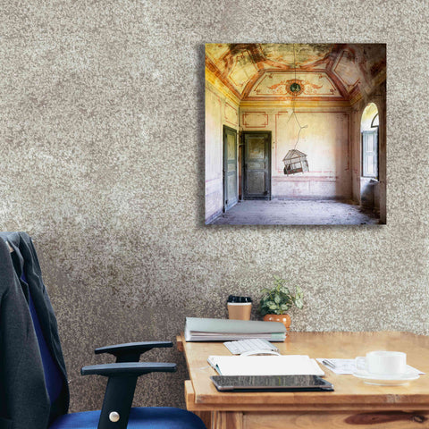 Image of 'Bird Cage' by Roman Robroek Giclee Canvas Wall Art,26 x 26