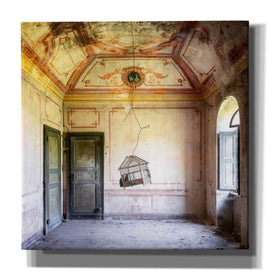 'Bird Cage' by Roman Robroek Giclee Canvas Wall Art