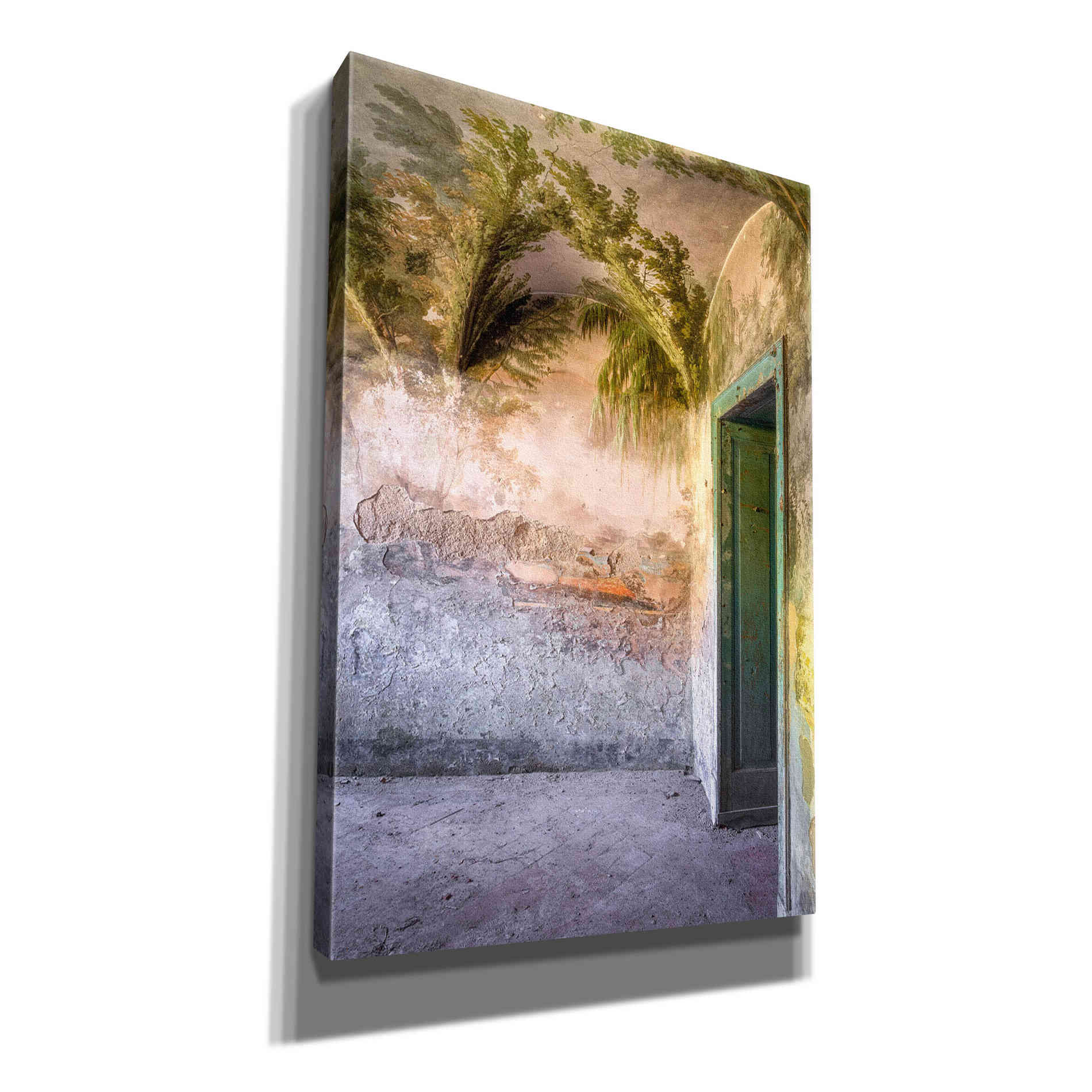 'Tropical Room' by Roman Robroek Giclee Canvas Wall Art