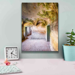 'Palm Room' by Roman Robroek Giclee Canvas Wall Art,12 x 16