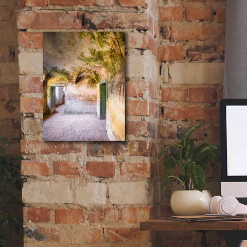 Image of 'Palm Room' by Roman Robroek Giclee Canvas Wall Art,12 x 16