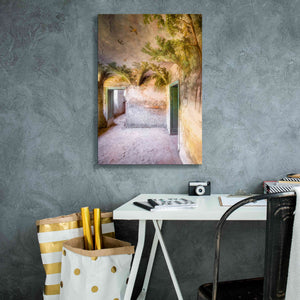 'Palm Room' by Roman Robroek Giclee Canvas Wall Art,18 x 26