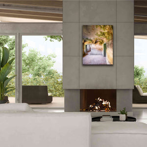 'Palm Room' by Roman Robroek Giclee Canvas Wall Art,26 x 34