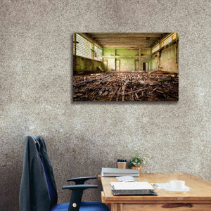 'Radiation Gym' by Roman Robroek Giclee Canvas Wall Art,40 x 26