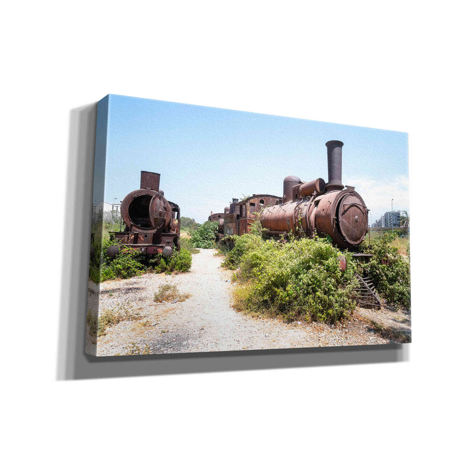 'Train Heritage' by Roman Robroek Giclee Canvas Wall Art