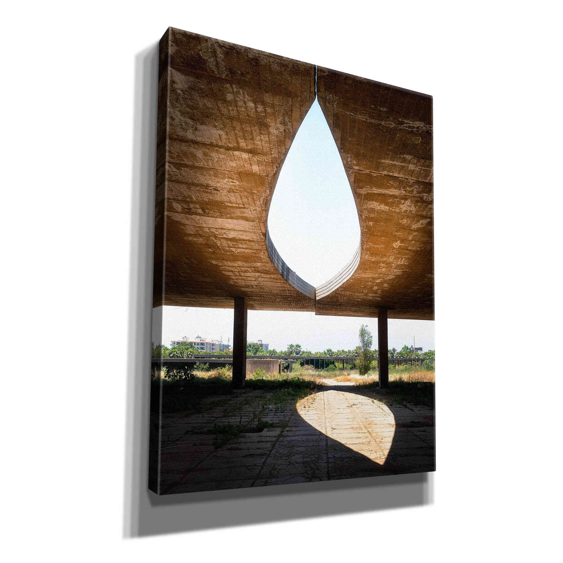 'The Eye' by Roman Robroek Giclee Canvas Wall Art