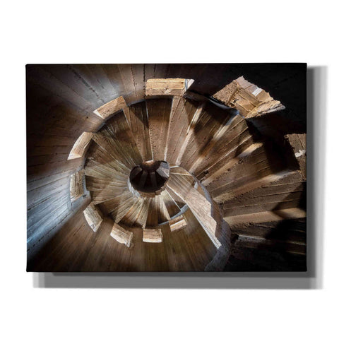 Image of 'Shadow In The Staircase' by Roman Robroek Giclee Canvas Wall Art