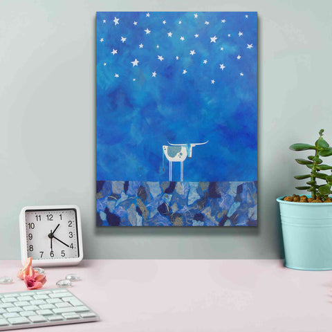 Image of 'Stars at Night by Casey Craig Giclee Canvas Wall Art,12 x 16