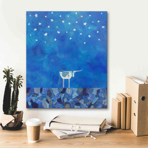 'Stars at Night by Casey Craig Giclee Canvas Wall Art,20 x 24