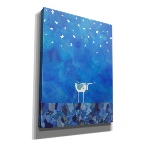 Image of 'Stars at Night by Casey Craig Giclee Canvas Wall Art