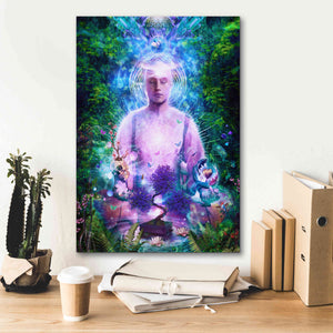 'Daily Meditation' by Cameron Gray Giclee Canvas Wall Art,18 x 26