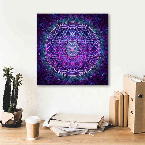 Image of 'Flower Of Life' by Cameron Gray Giclee Canvas Wall Art,18 x 18