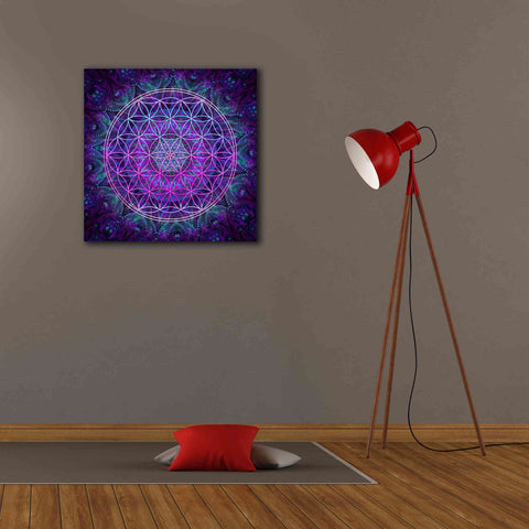 Image of 'Flower Of Life' by Cameron Gray Giclee Canvas Wall Art,26 x 26