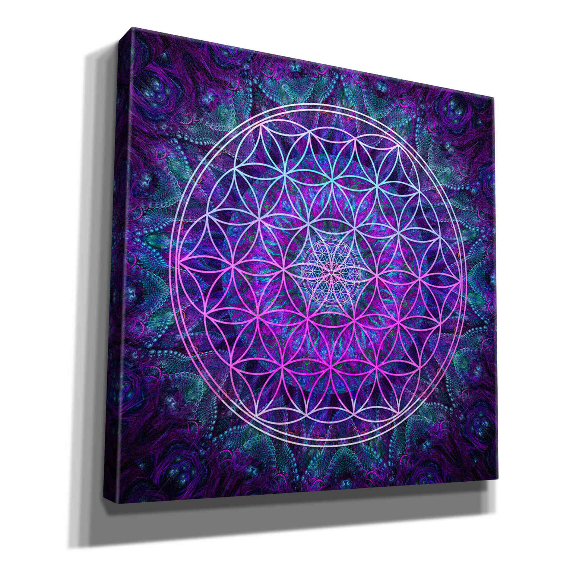 'Flower Of Life' by Cameron Gray Giclee Canvas Wall Art