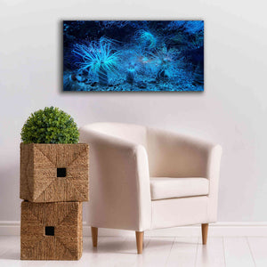 'Anemone Jungle' by Epic Portfolio, Giclee Canvas Wall Art,40x20