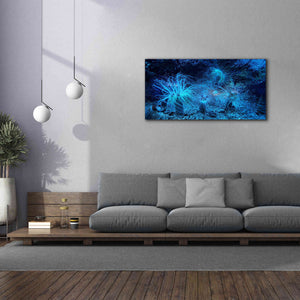 'Anemone Jungle' by Epic Portfolio, Giclee Canvas Wall Art,60x30