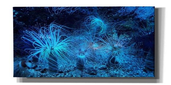 'Anemone Jungle' by Epic Portfolio, Giclee Canvas Wall Art