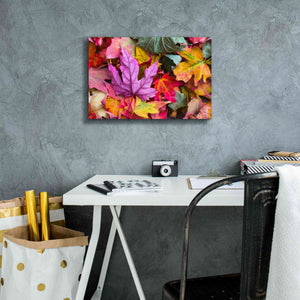 'Beautiful Fall' by Epic Portfolio, Giclee Canvas Wall Art,18x12