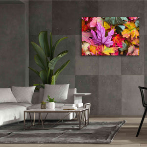 'Beautiful Fall' by Epic Portfolio, Giclee Canvas Wall Art,60x40