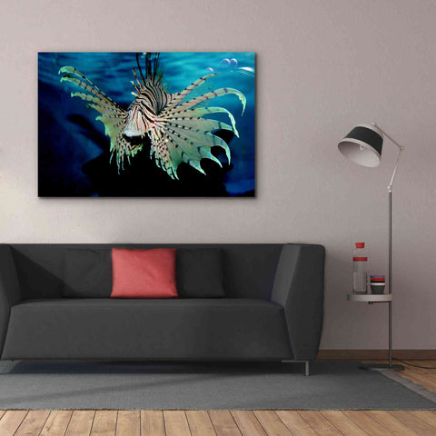 Image of 'Boo' by Epic Portfolio, Giclee Canvas Wall Art,60x40