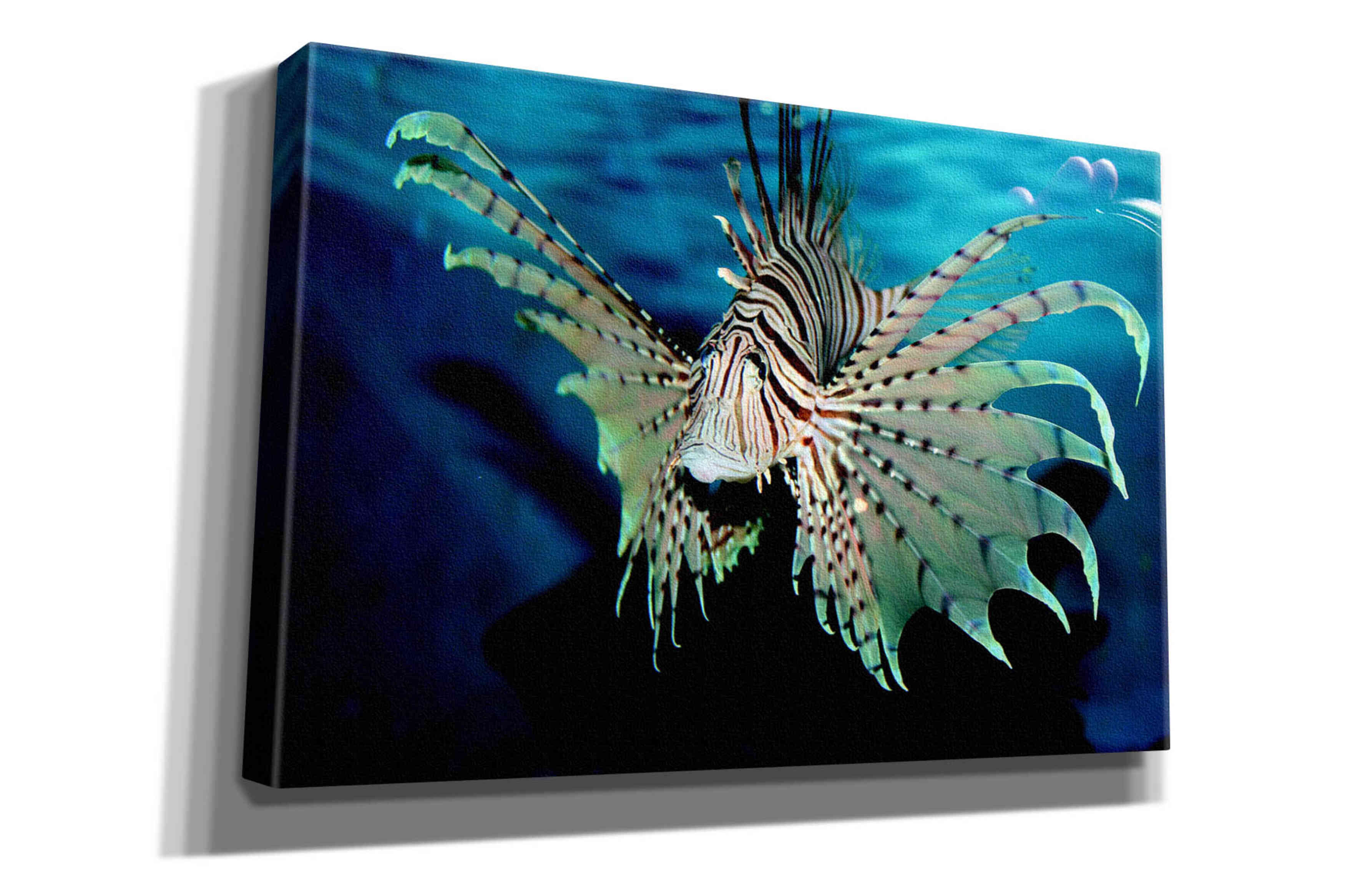 'Boo' by Epic Portfolio, Giclee Canvas Wall Art
