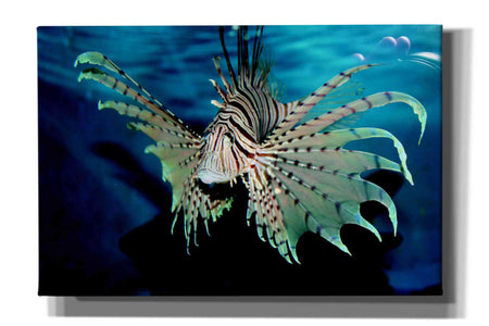'Boo' by Epic Portfolio, Giclee Canvas Wall Art
