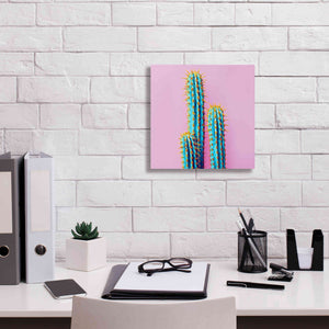 'Bubble Gum Cactus' by Epic Portfolio, Giclee Canvas Wall Art,12x12