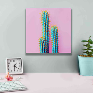 'Bubble Gum Cactus' by Epic Portfolio, Giclee Canvas Wall Art,12x12