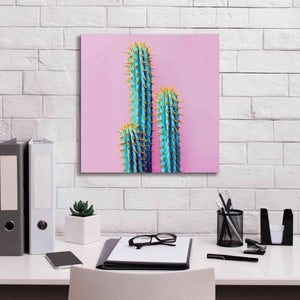 'Bubble Gum Cactus' by Epic Portfolio, Giclee Canvas Wall Art,18x18