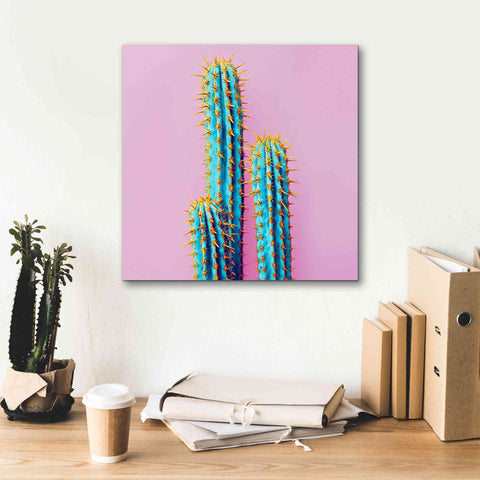 Image of 'Bubble Gum Cactus' by Epic Portfolio, Giclee Canvas Wall Art,18x18